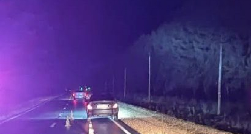 Автомобиль сбил пешехода, который просто стоял на дороге в Марий Эл 