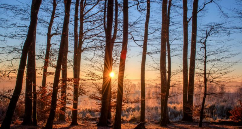 Гололедицу на дорогах и мокрый ожидают в четверг в Марий Эл 