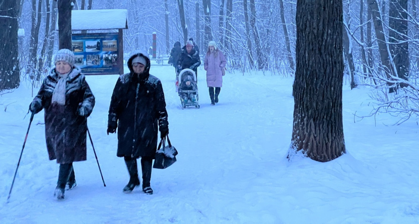 Ловушка для бегущих за быстрой прибылью: как брокер оставил жителей Марий Эл без 2,5 млн