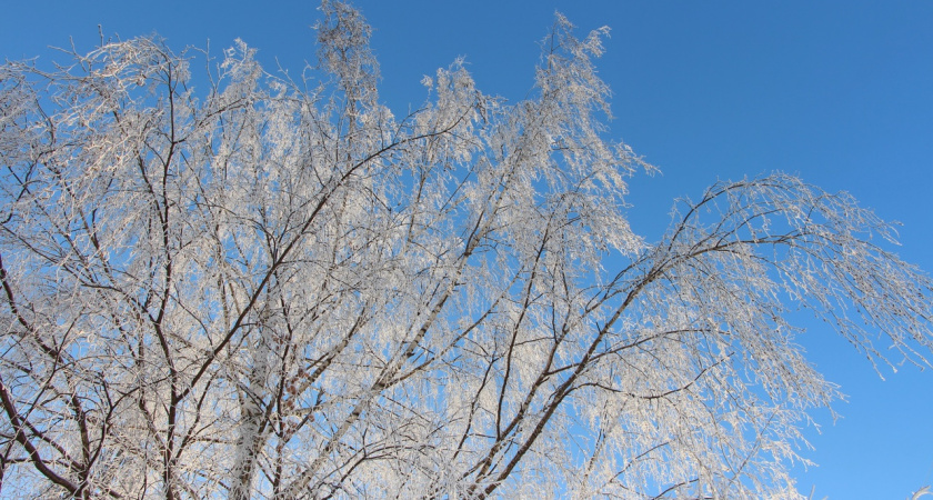 Потепление и метель обещают жителям Марий Эл в четверг