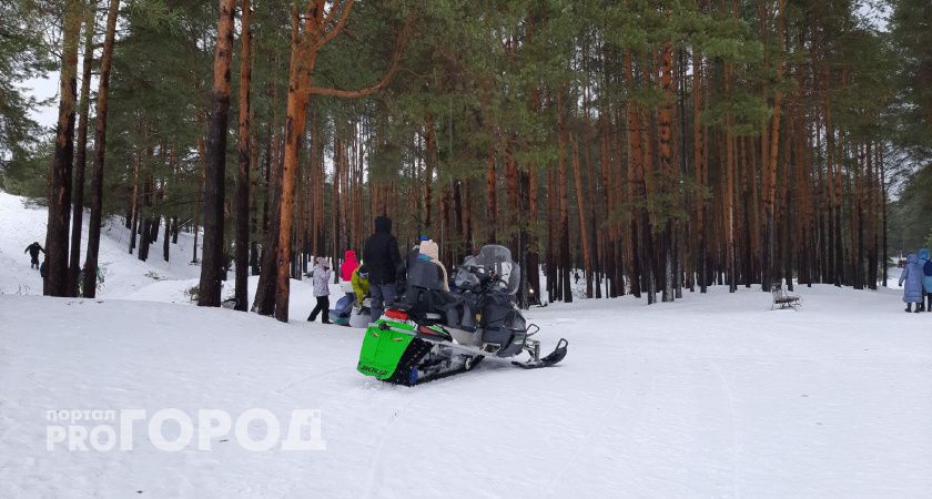 Два любителя снегоходов из Йошкар-Олы поверили продавцам в интернете и потеряли сотни тысяч
