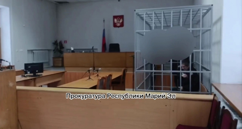 Житель Моркинского района понесет наказание за свое преступление спустя 10 лет
