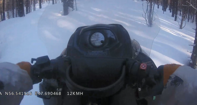 В двух районах Марий Эл нашли любителей лосей, нарушивших закон