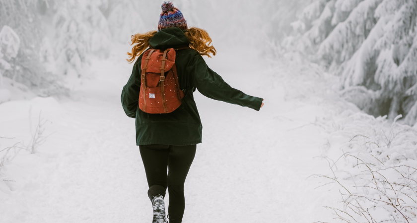 В Марий Эл последний день уходящего года принесет метель и туман 