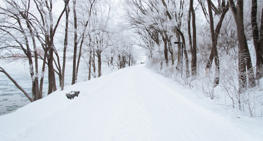 С понедельника в Марий Эл вновь придет метель 