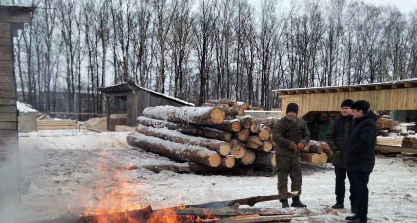 Йошкаролинец, сжигавший древесные отходы прямо на улице, заплатит штраф в размере 4 тысяч рублей 