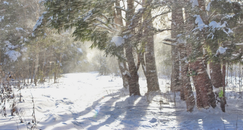 МЧС Марий Эл выпустило штормовое предупреждение о непогоде