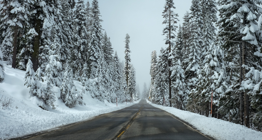 Четыре автотрассы в Марий Эл будут недоступны для проезда