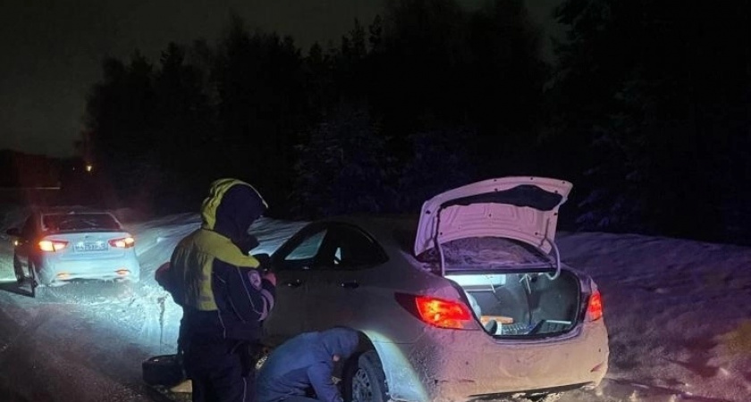 Автоинспекторы Марий Эл пришли на помощь взволнованному водителю на трассе