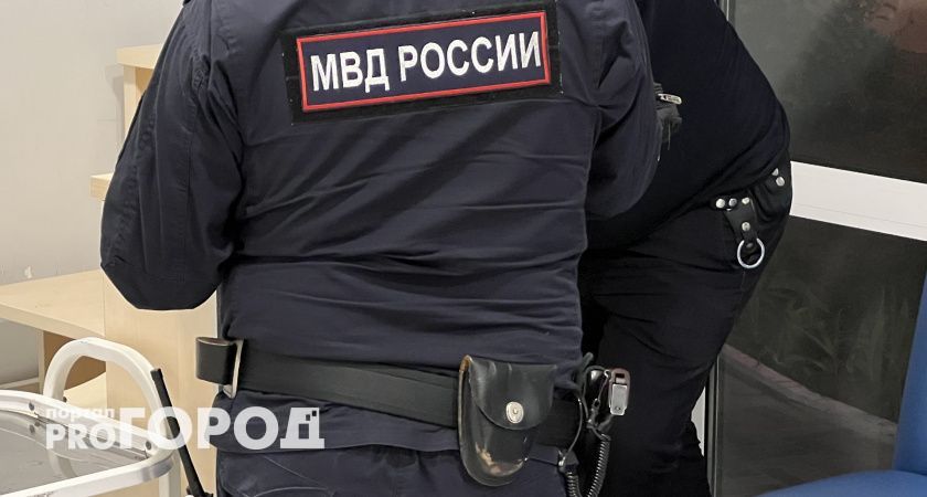 Суд не пожалел жителя Медведевского района, который просил простить его за драку