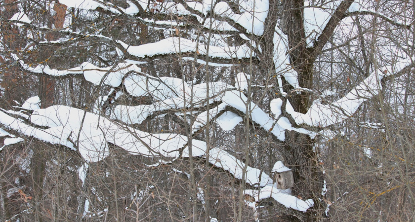В среду в Марий Эл ожидается гололедица на дорогах