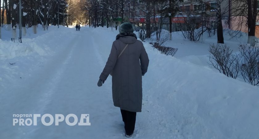 Покупка iPhone через мессенджер стала для йошкаролинки серьезным разочарованием 