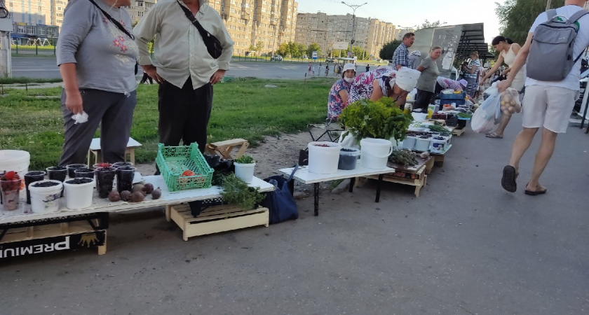 За продажу остатков урожая начнут штрафовать: вот что нужно знать каждому дачнику