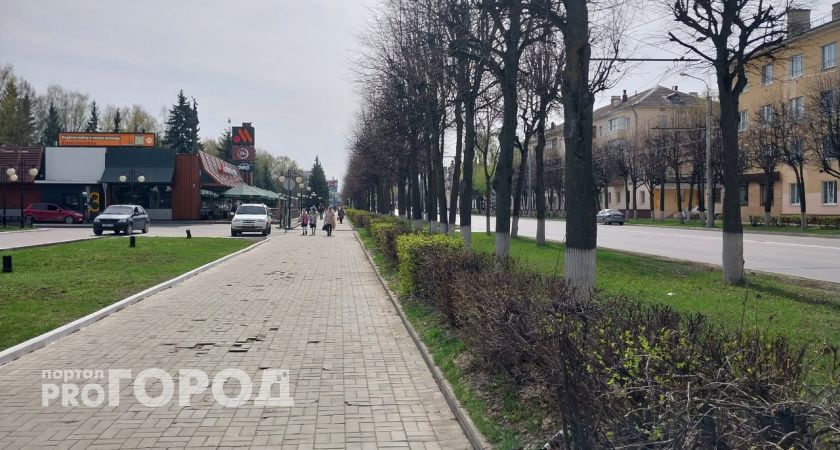 Несколько районов Марий Эл днем останутся без света