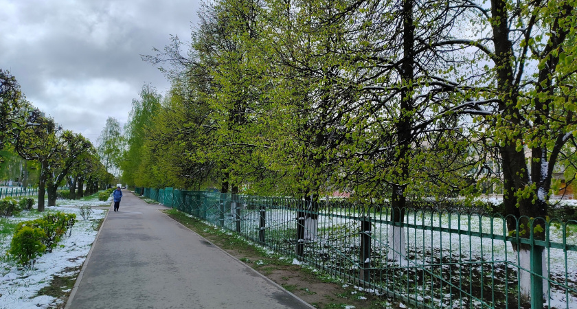 Климатический кошмар, праздник будет испорчен: синоптик обещал снег, ветер и небывалый холод