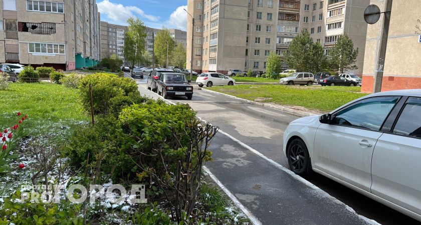 Очередные заморозки придут в Марий Эл в ближайшие дни