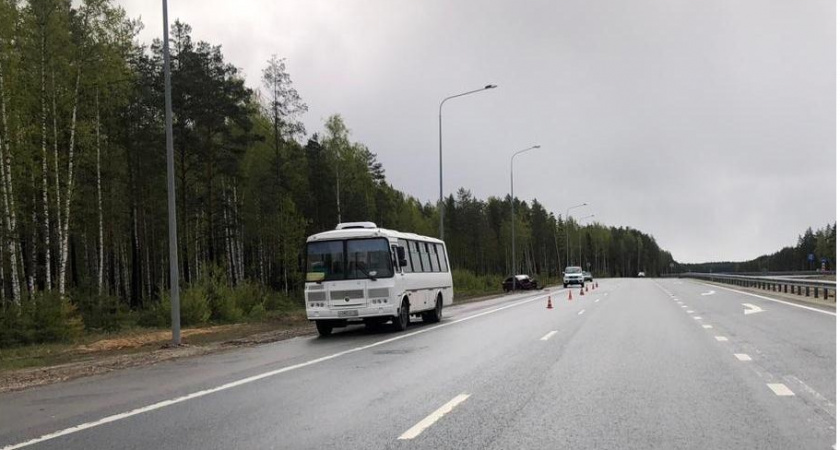 Ребенок пострадал в ДТП с пассажирским автобусом в Медведевском районе