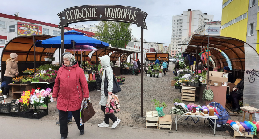 Всем пенсионерам со званием "Ветеран труда" дадут долгожданную прибавку к пенсии в 2024 году