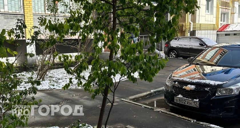 Новые заморозки придут в Марий Эл после недавней жары