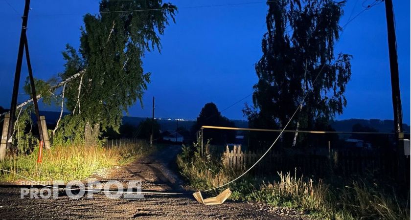 В четырех районах Марий Эл на весь день отключат свет