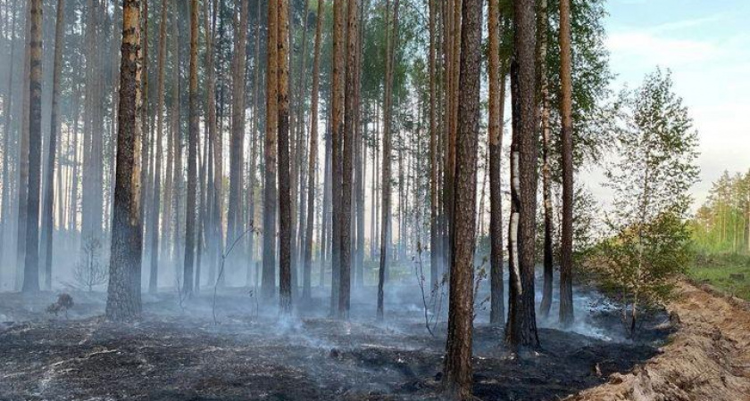 Угроза пожаров сохраняется в Марий Эл