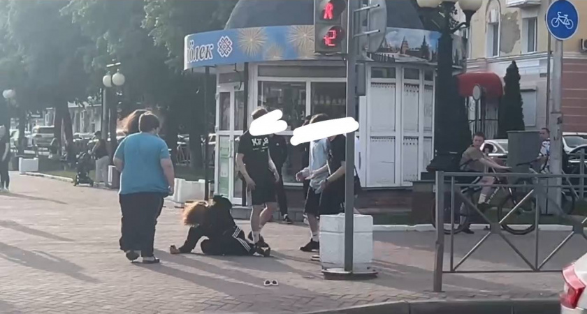 Екатерина Мизулина заинтересовалась дракой с участием неформальной молодежи в Йошкар-Оле