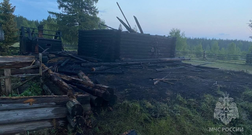 Играющие дети устроили крупный пожар в Килемарском районе