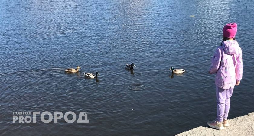 Теплая погода и вероятный дождь ждут жителей Марий Эл в среду