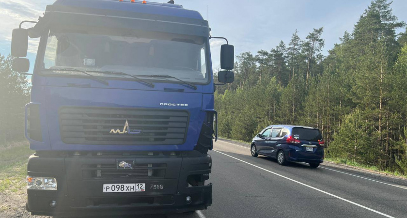 Пешеход погиб под грузовиком, перебегая дорогу в Волжском районе