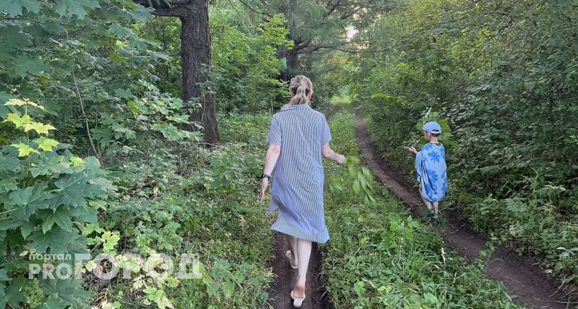 154 ребенка пострадали от клещей в Марий Эл