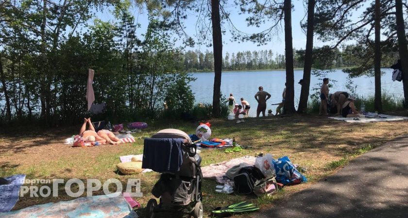 Это делают только дураки: пять привычек в поведении глупых людей