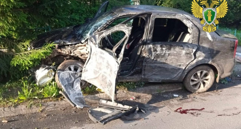 Водитель и пассажир иномарки погибли, влетев в столб в Куженере