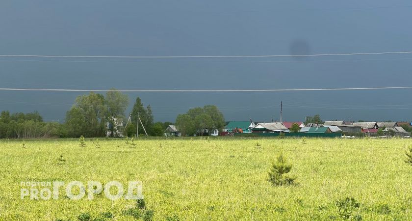 Дождь, гроза, порывы ветра: прогноз погоды в Марий Эл на четверг