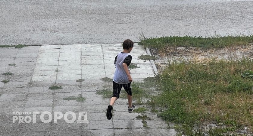 Южный ветер принесет в Марий Эл дожди и грозы