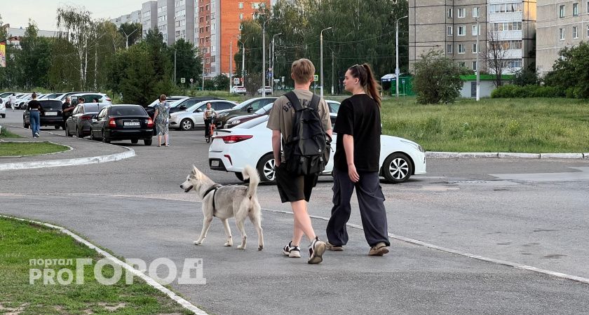 Тест: на эти пять вопросов смогут ответить только гении