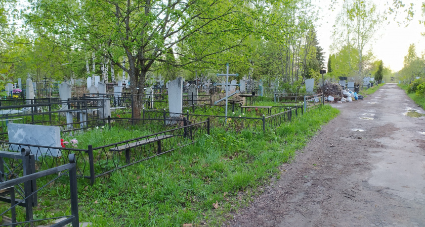 Возле Туруновского кладбища хотели устроить свалку деревьев и кустов