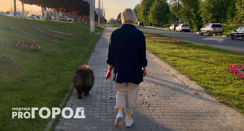 Свежие санкции для хозяев домашних животных: что важно учесть