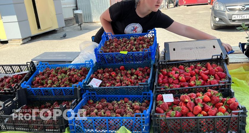 "Огромные чистые ягоды, хоть на продажу": опытные огородники молчат об этом удобрении
