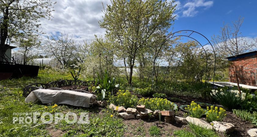 Еще успеет вырасти: что посадить чтобы успеть собрать урожай к концу сезона