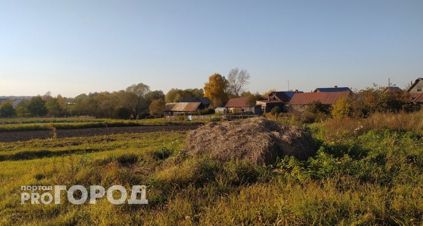 Ядовитый сорняк, убивающий другие растения, нашли в Советском районе