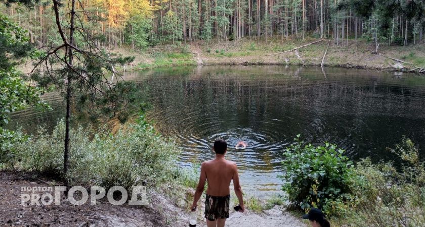 Поход в лес закончился для жителя Советского района смертельным заражением