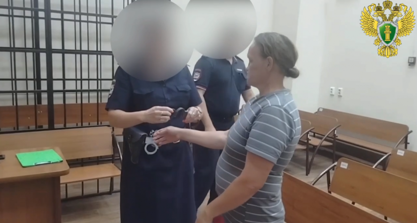 Жительница Волжска не захотела платить алименты и подметать улицы, за что лишится свободы
