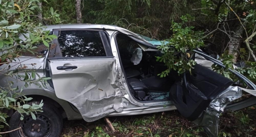 В Звениговском районе водитель сбил лося и улетел в кювет