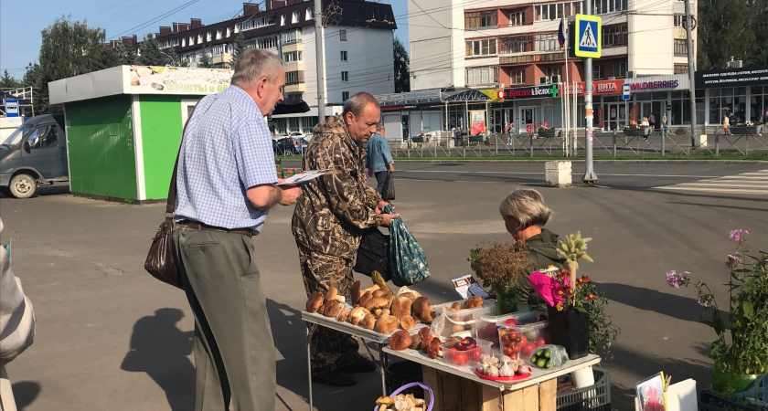 В Марий Эл продают лечебные грибы со всего мира: просят до 5000 за банку