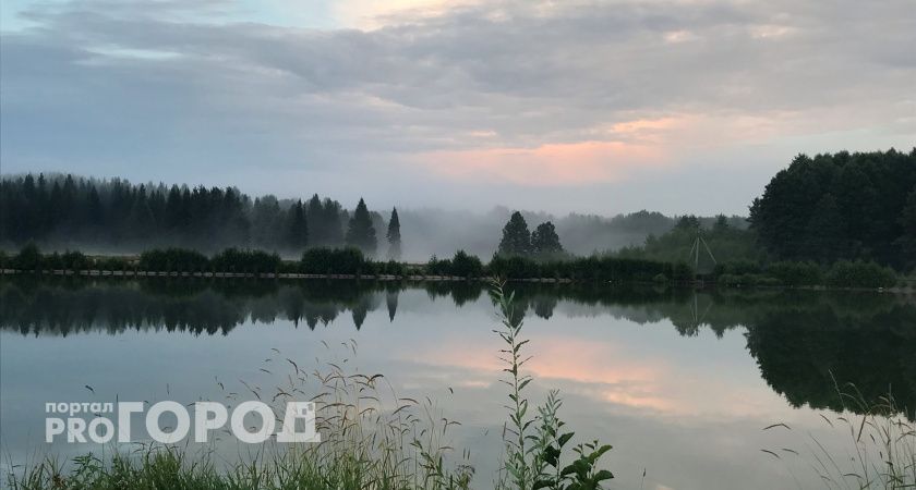 Погода будет звать на улицу: насколько тепло будет в Марий Эл в четверг