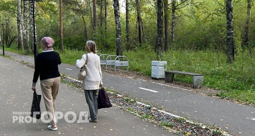 Несколько жителей Марий Эл попались на новый вид мошенничества