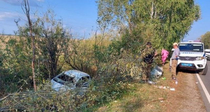 Двое детей и водитель иномарки попали в больницу после съезда в кювет в Моркинском районе