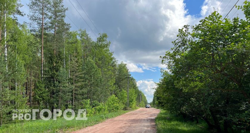 Самый высокий класс опасности ввели в лесах Марий Эл