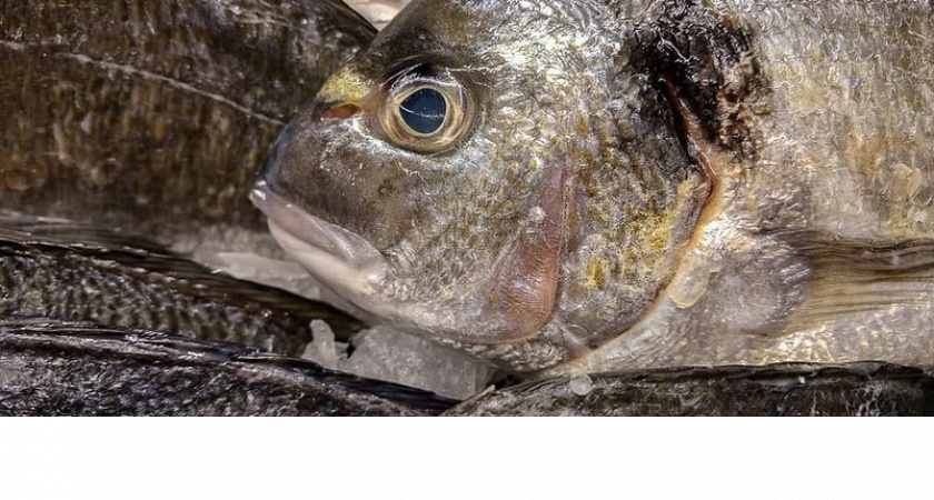 Опасная рыба, которую нельзя подавать к столу: в ней живут паразиты