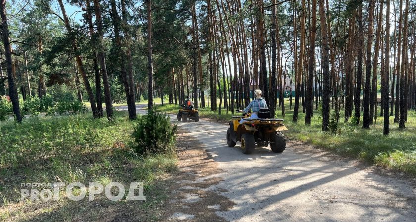 Преступники поймали жителей Марий Эл во время покупки квадроцикла и военной экипировки